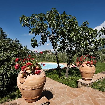 La Dragona Apartment Castel del Piano  Exterior photo